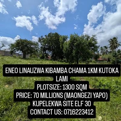 Kiwanja kinauzwa Kibamba Chama, Dar Es Salaam sqm 1300