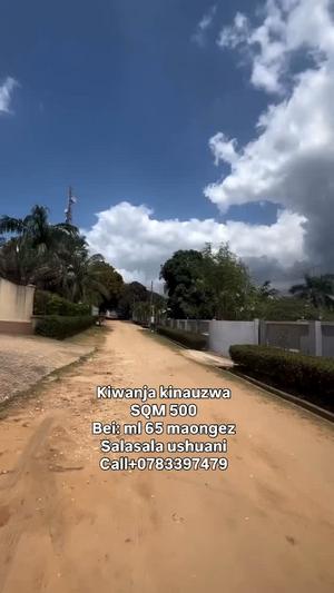Kiwanja kinauzwa Salasala Ushuarini, Dar Es Salaam (500 sqm)