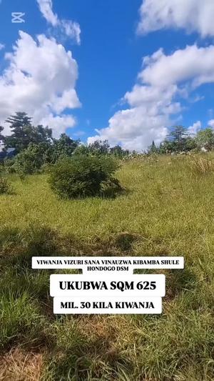 Kiwanja kinauzwa Kibamba Shule Hondogo, Dar Es Salaam (625 sqm)