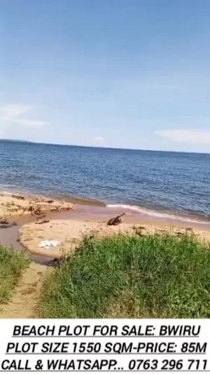 Beach Plot for Sale in Bwiru, Mwanza (1550 sqm) Beach Plot for Sale in Bwiru, Mwanza (1550 sqm)