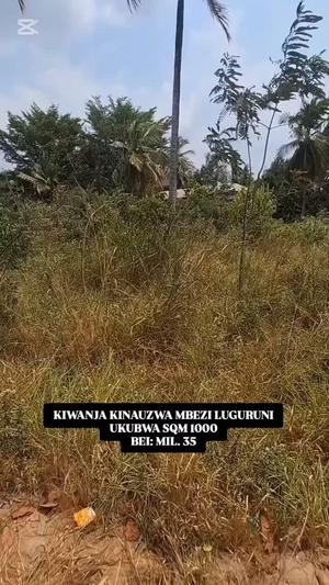 Kiwanja kinauzwa Mbezi Luguruni, Dar Es Salaam (1000 sqm) Kiwanja kinauzwa Mbezi Luguruni, Dar Es Salaam (1000 sqm)
