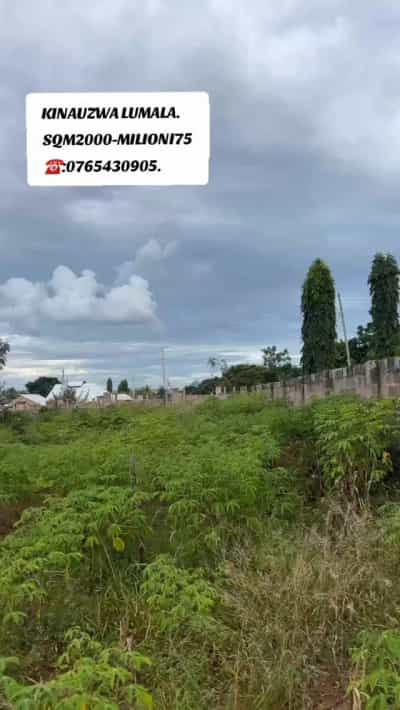 Residential Plot for Sale in Lumala Greenview, Mwanza