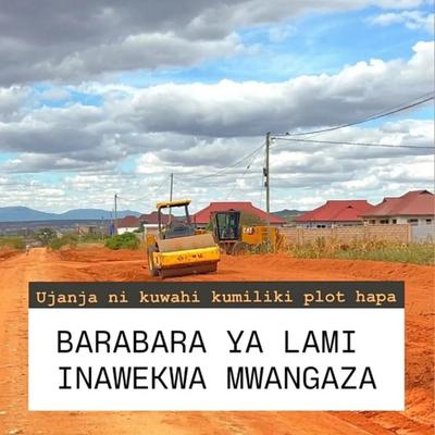 Viwanja vinauzwa Kisasa Mwangaza, Dodoma Viwanja vinauzwa Kisasa Mwangaza, Dodoma