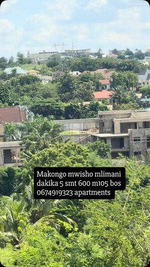 Apartment inapangishwa Makongo Mwisho, Dar Es Salaam Apartment inapangishwa Makongo Mwisho, Dar Es Salaam