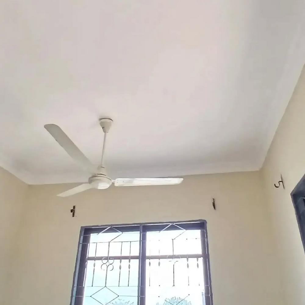 media -6 media -6