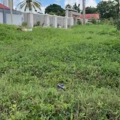 Kiwanja kinauzwa Changanyikeni, Dar Es Salaam (1350 sqm)