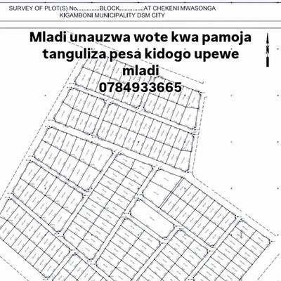 Shamba linauzwa Kigamboni Mwasonga, Dar Es Salaam (60 acre)