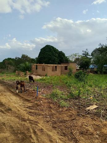 Kiwanja kinauzwa Kibaha Kwa Mfipa (Viziwaziwa), Pwani sqm 400 Kiwanja kinauzwa Kibaha Kwa Mfipa (Viziwaziwa), Pwani sqm 400