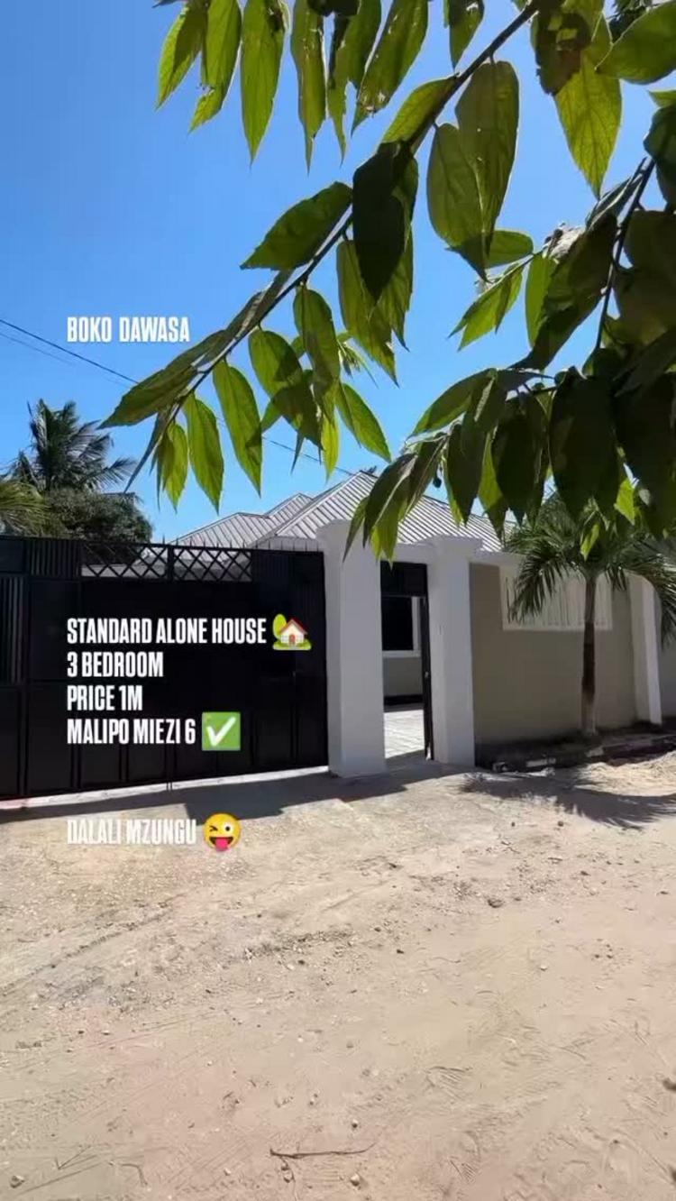 media -1 media -1