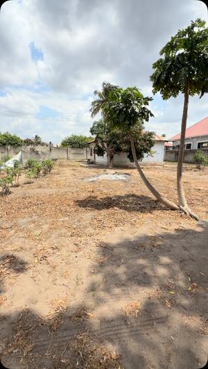Residential Plot for Sale in Boko Beach, Dar Es Salaam (560 sqm) Residential Plot for Sale in Boko Beach, Dar Es Salaam (560 sqm)