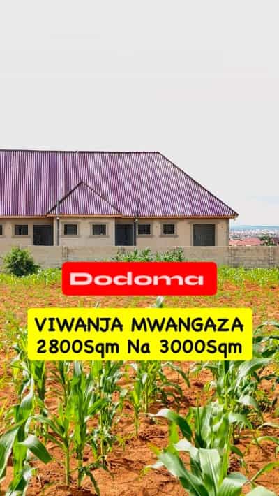 Kiwanja kinauzwa Dodoma (2800 sqm)