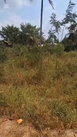 Commercial Plot for Sale in Mbezi Ruguruni, Dar Es Salaam (10000 sqm) Commercial Plot for Sale in Mbezi Ruguruni, Dar Es Salaam (10000 sqm)