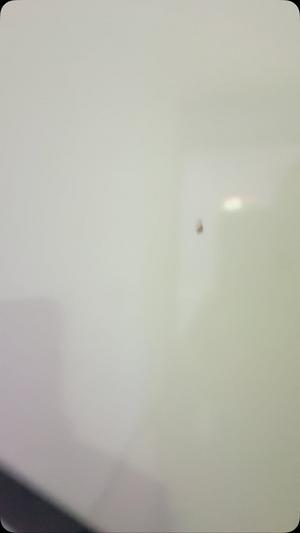 Apartment ya chumba kimoja inapangishwa Kigamboni Mwongozo, Dar Es Salaam