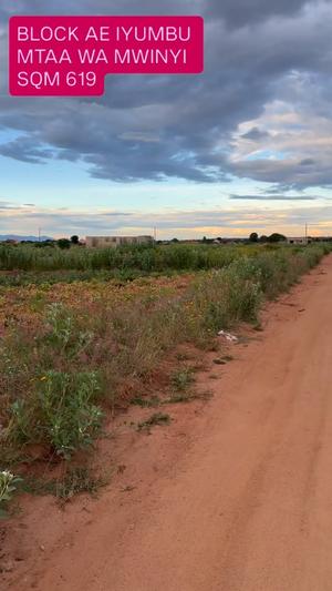 Kiwanja kinauzwa Iyumbu, Dodoma sqm 619