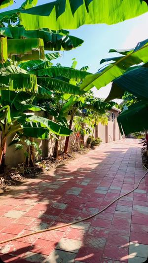 3 Bedrooms House for Rent in Bunju, Dar Es Salaam 3 Bedrooms House for Rent in Bunju, Dar Es Salaam