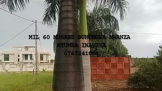Nyumba ya vyumba vitatu inauzwa Buhongwa, Mwanza (650 sqm)