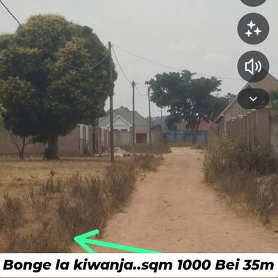 Kiwanja kinauzwa Buhongwa Musabe, Mwanza (1000 sqm) Kiwanja kinauzwa Buhongwa Musabe, Mwanza (1000 sqm)