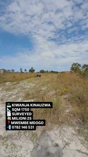 Kiwanja kinauzwa Kigamboni Mwembe Mdogo, Dar Es Salaam sqm 1750 Kiwanja kinauzwa Kigamboni Mwembe Mdogo, Dar Es Salaam sqm 1750