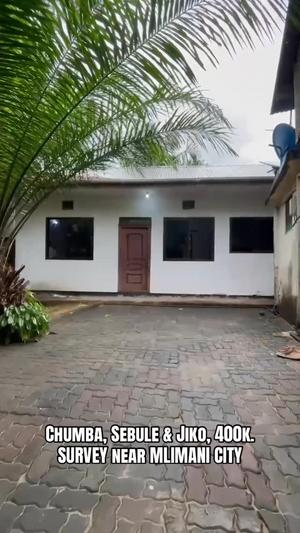 Nyumba ya chumba kimoja inapangishwa Survey, Dar Es Salaam Nyumba ya chumba kimoja inapangishwa Survey, Dar Es Salaam