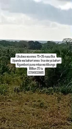 Viwanja vinauzwa Kigamboni Puna, Dar Es Salaam (2625 sqm) Viwanja vinauzwa Kigamboni Puna, Dar Es Salaam (2625 sqm)