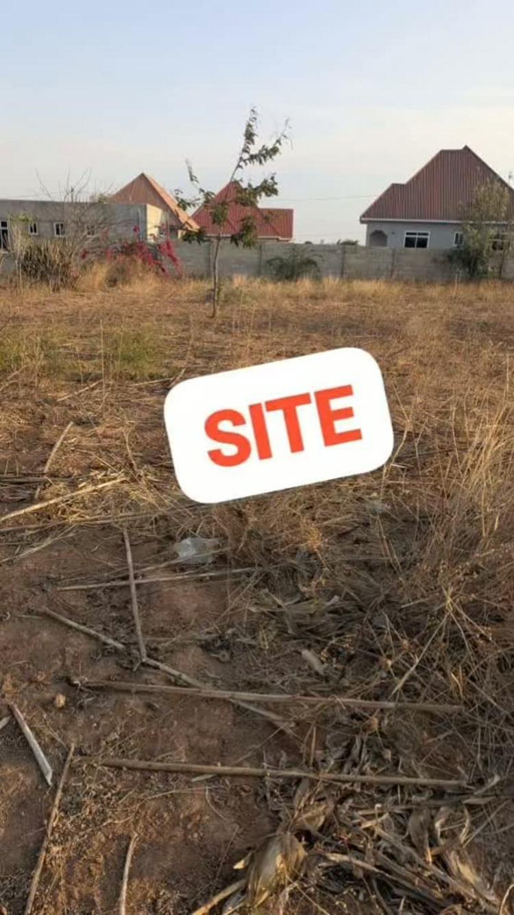 media -1 media -1