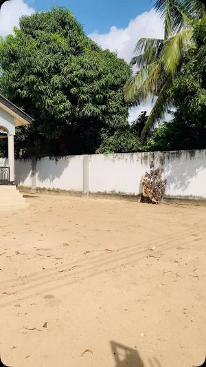 Nyumba ya vyumba vitatu inapangishwa Bunju Beach Moga, Dar Es Salaam Nyumba ya vyumba vitatu inapangishwa Bunju Beach Moga, Dar Es Salaam