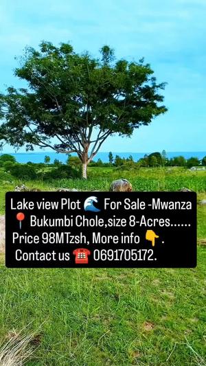Kiwanja kinauzwa Bukumbi, Tabora (8 acre) Kiwanja kinauzwa Bukumbi, Tabora (8 acre)