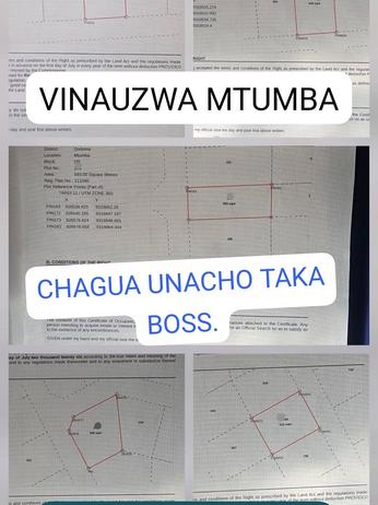 Kiwanja kinauzwa Mtumba / Mji wa Kiserikali, Dodoma (516 sqm) Kiwanja kinauzwa Mtumba / Mji wa Kiserikali, Dodoma (516 sqm)