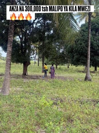 Plots for sale in Bagamoyo, Pwani Plots for sale in Bagamoyo, Pwani