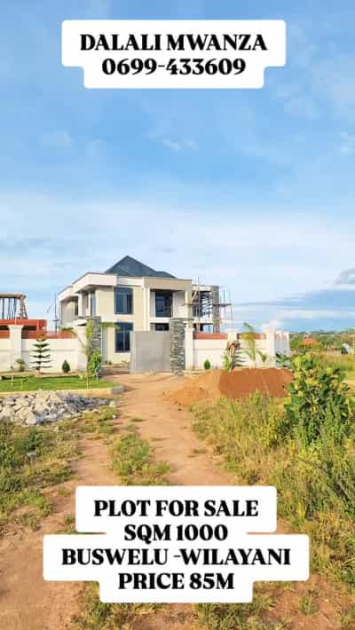 Kiwanja kinauzwa Buswelu, Mwanza (1000 sqm)