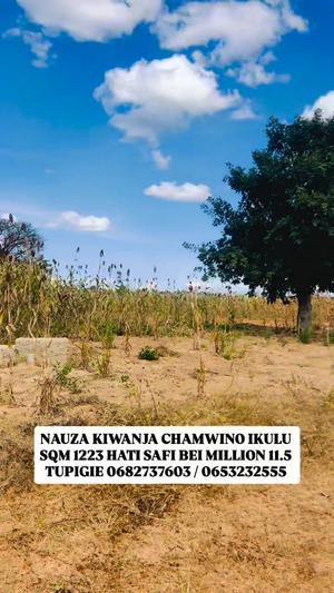 Plot for sale in Chamwino Ikulu, Dodoma sqm 1223