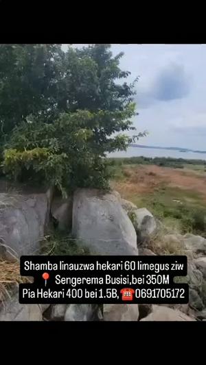 Mashamba yanauzwa Sengerema Busisi, Mwanza Mashamba yanauzwa Sengerema Busisi, Mwanza