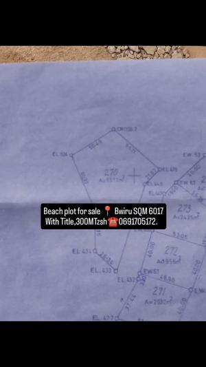 Beach Plot for Sale in Bwiru, Mwanza (6017 sqm)