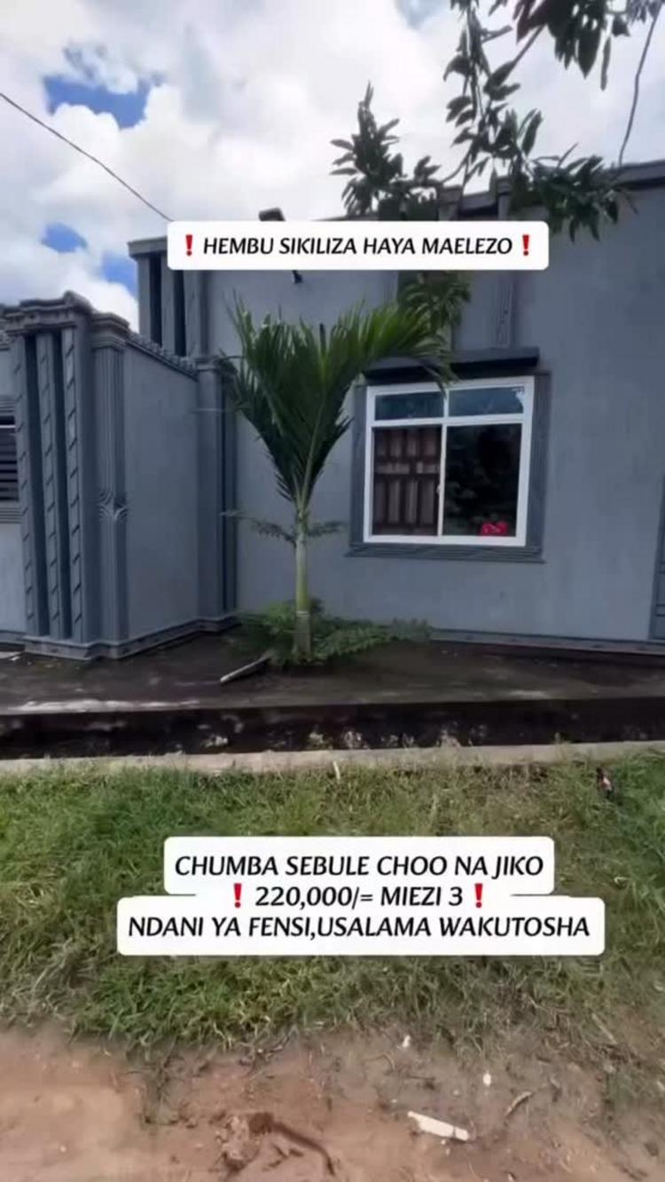 media -1 media -1