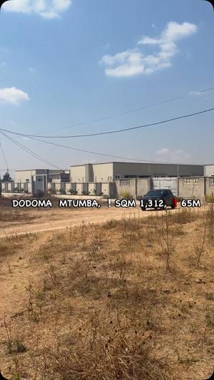 Kiwanja kinauzwa Mtumba Mji Wa Kiserikali, Dodoma (1314 sqm)