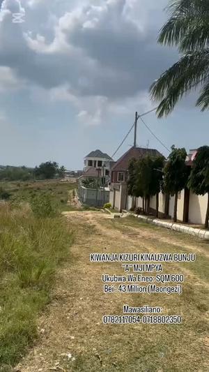 Kiwanja kinauzwa Bunju A, Dar Es Salaam (600 sqm)