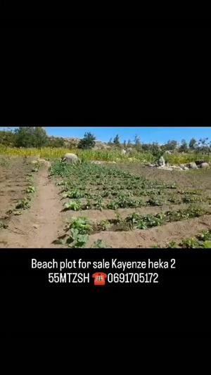 Beach Plot kinauzwa Kayenze, Mwanza (2 acre) Beach Plot kinauzwa Kayenze, Mwanza (2 acre)