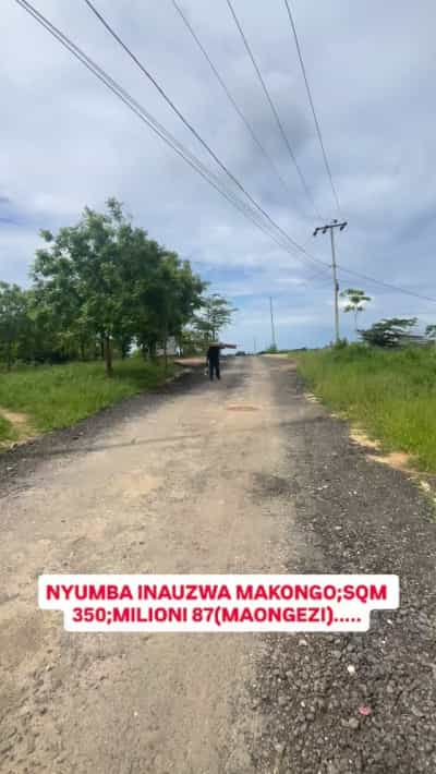 Kiwanja kinauzwa Makongo, Dar Es Salaam (350 sqm)