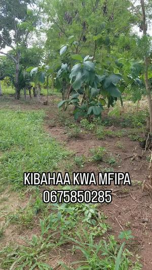 Residential Plots for Sale in Kibaha Kwa Mfipaa, Pwani (400 sqm) Residential Plots for Sale in Kibaha Kwa Mfipaa, Pwani (400 sqm)