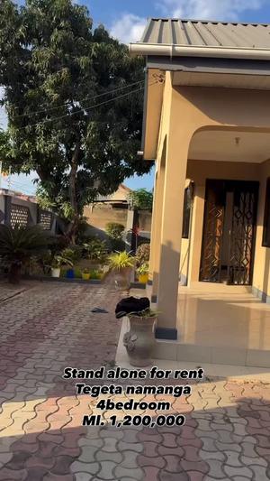 Nyumba ya vyumba vinne inapangishwa Tegeta Namanga, Dar Es Salaam Nyumba ya vyumba vinne inapangishwa Tegeta Namanga, Dar Es Salaam