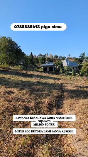 Plot for sale in Goba Nash Park, Dar Es Salaam sqm 623
