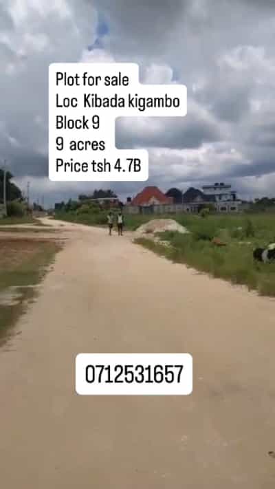 Kiwanja (Commercial Plot) kinauzwa Kibada, Dar Es Salaam (9 acre)