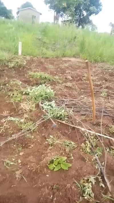 Kiwanja kinauzwa Kibaha, Pwani Kiwanja kinauzwa Kibaha, Pwani