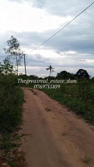 Viwanja vinauzwa Kibaha Kwa Mfipa (Viziwaziwa), Pwani (400 sqm) Viwanja vinauzwa Kibaha Kwa Mfipa (Viziwaziwa), Pwani (400 sqm)
