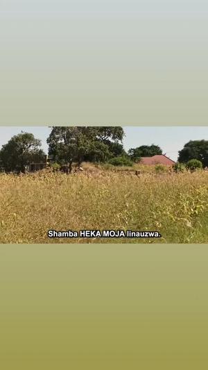 Residential Plot for Sale in Kikwe, Kivuyo, Arusha (1 acre) Residential Plot for Sale in Kikwe, Kivuyo, Arusha (1 acre)