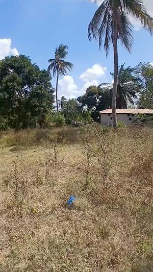 Kiwanja kinauzwa Mbezi Magufuli Stendi, Dar Es Salaam (5500 sqm)