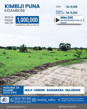 Residential Plots for Sale in Kigamboni Kimbiji Puna, Dar Es Salaam