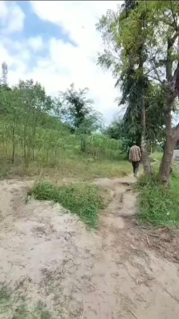 media -1 media -1