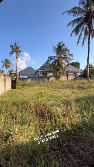 Kiwanja kinauzwa Salasala Ushuarini, Dar Es Salaam (500 sqm) Kiwanja kinauzwa Salasala Ushuarini, Dar Es Salaam (500 sqm)