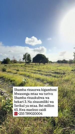 Shamba linauzwa Mwasonga Turivu, Dar Es Salaam acre 3
